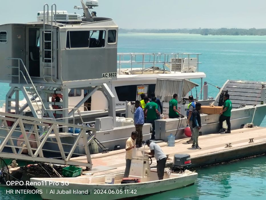 ref1719380475601iland