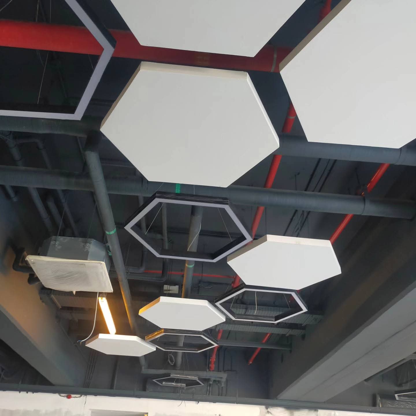 WhatsApp Image 2026-02-02 at 2.02.53 PM